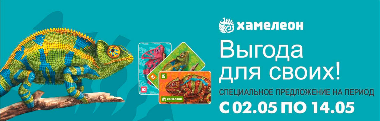 белмаркет каталог и ката хамелеон